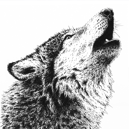 Howling Wolf - Custom Illustration