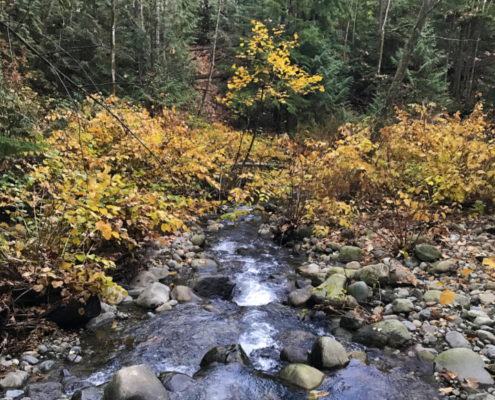 Destination or Journey?