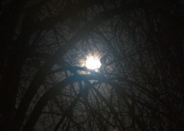 Staring into the darkness