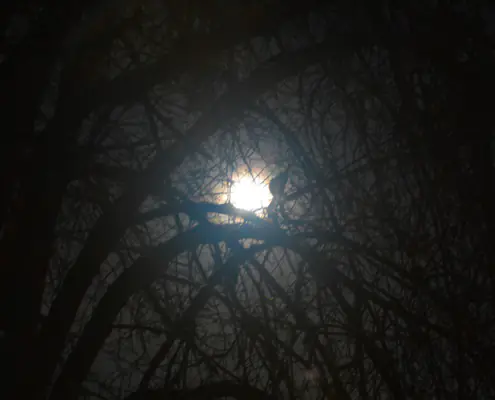 Staring into the darkness