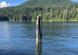 Calm water and a solitary wooden post, a quiet image reflecting scripture about perfect peace