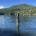 Calm water and a solitary wooden post, a quiet image reflecting scripture about perfect peace