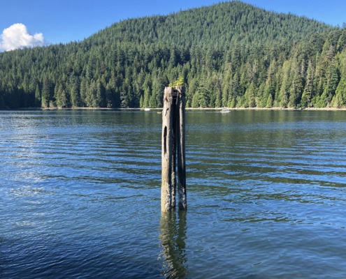 Calm water and a solitary wooden post, a quiet image reflecting scripture about perfect peace
