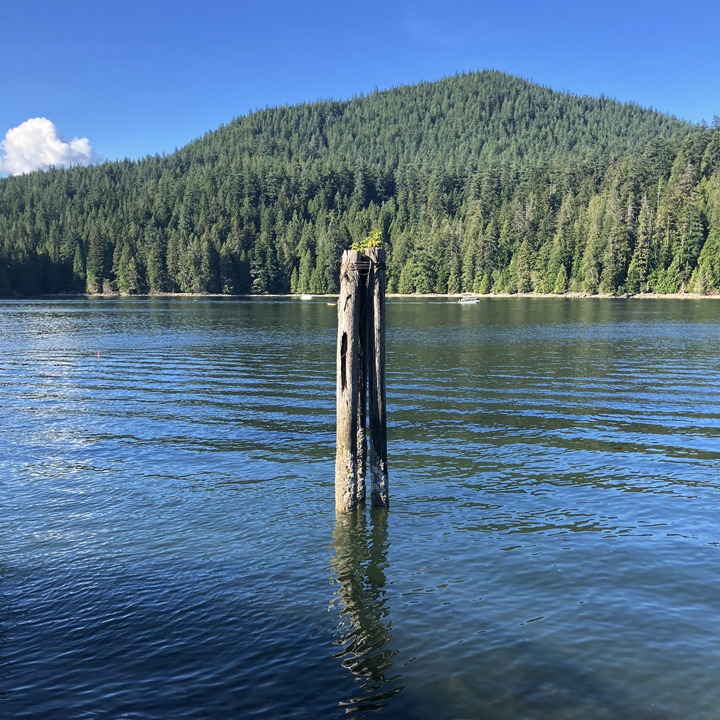 scripture-about-perfect-peace-isaiah-26-3 Calm water and a solitary wooden post, a quiet image reflecting scripture about perfect peace